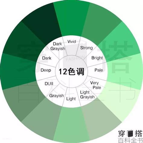 綠色 屬性|綠色系(green)心理意義以及清色調的色彩搭配方法